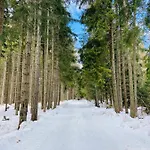 Apartmán Pod Modrzewiem Zubrzyca Gorna