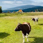 Pod Modrzewiem Zubrzyca Gorna