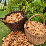 Lejlighed Pod Modrzewiem Zubrzyca Gorna