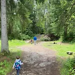 Pod Modrzewiem Lejlighed Zubrzyca Gorna