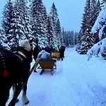 Pod Modrzewiem Lejlighed