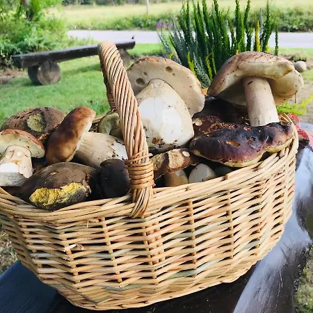 Pod Modrzewiem * Zubrzyca Gorna