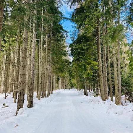 Apartamento Pod Modrzewiem Zubrzyca Gorna