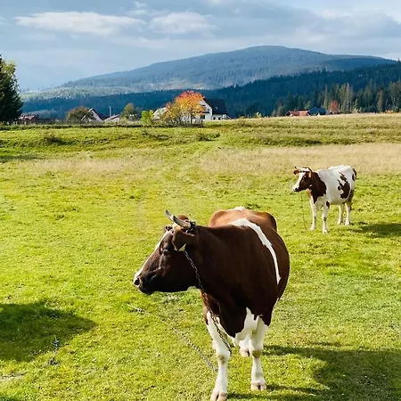 Pod Modrzewiem Zubrzyca Gorna