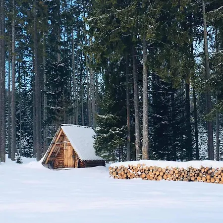 Pod Modrzewiem