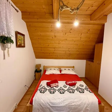 Pod Modrzewiem Apartamento *