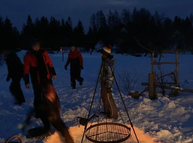 Pod Modrzewiem Διαμέρισμα