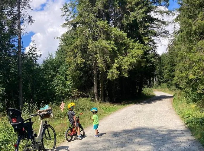 Διαμέρισμα Pod Modrzewiem Zubrzyca Gorna