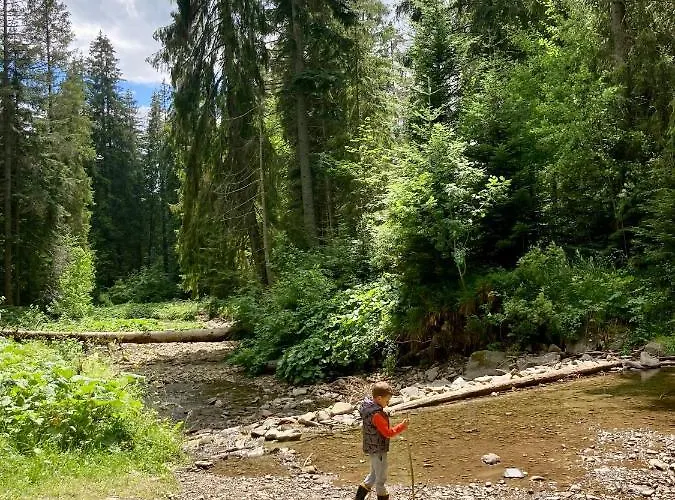 Pod Modrzewiem Διαμέρισμα *